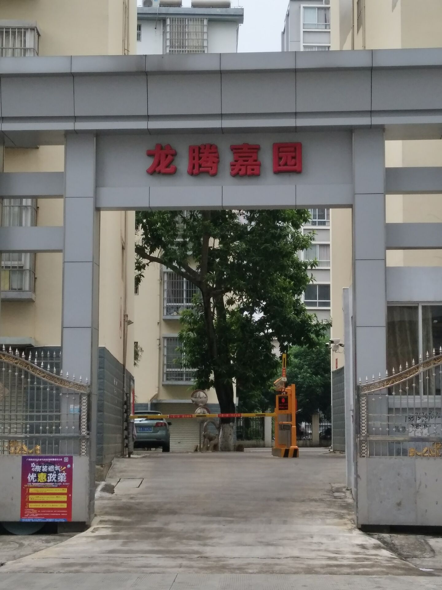 横县龙腾喜园
